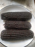 非轉(zhuǎn)基因【頭茬黑紫糯玉米】甜糯開(kāi)袋即食粘棒新鮮真空包裝代餐 甄選商超品質(zhì)【9-11根】每根200-260g 曬單實(shí)拍圖