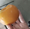 云南新鮮脆柿子當(dāng)季時令水果脆甜硬柿子脆皮火晶巧克力脆柿 3斤精選裝 曬單實(shí)拍圖