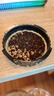 愛(ài)樂(lè )壓AeroPress彩色透明版便攜咖啡機小型手壓咖啡機法壓壺濃縮萃取手沖咖啡戶(hù)外 【大賽同款】透明版clear咖啡機（含50張濾紙） 曬單實(shí)拍圖