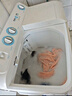 海爾（Haier）雙桶洗衣機(jī)半自動(dòng) 家用大件洗 12公斤大容量 一級(jí)能效省水電 以舊換新 雙缸 原廠品質(zhì)XPB120-81D2 曬單實(shí)拍圖