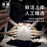 【冷凍】至鮮梭子蟹2.6斤/6-8只整只當(dāng)季液氮冷凍3-5兩/只呂四黃海海鮮螃蟹新鮮中秋禮 曬單實(shí)拍圖