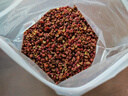 新貨韓城大紅袍花椒干花椒粒陜西特產(chǎn)家用調味品農家自產(chǎn)特麻特香 500g【精選無(wú)籽新貨】 曬單實(shí)拍圖