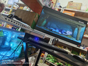逆昂128G內存酷睿i7升24核電競臺式機電腦4060電競主機吃雞獨顯辦公組裝大額補貼家用游戲水冷電腦整機 主機+27英寸【高刷顯示器+鍵鼠套裝】 套五：i9級54芯8G電競獨顯/1TB/剪輯渲染 曬單實(shí)拍圖