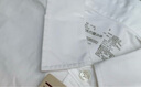 無(wú)印良品（MUJI）女式水洗平紋襯衫領(lǐng)襯衫女純棉長(zhǎng)袖襯衣外套內(nèi)搭女士秋季女裝上衣 白色 L （165/88A） 曬單實(shí)拍圖