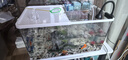 金利佳魚(yú)缸過(guò)濾器凈水循環(huán)三合一水泵干濕分離凈水器內置外置過(guò)濾滴流盒 全新升級四濾盒+水泵濾材+干濕分離盒 曬單實(shí)拍圖