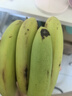 正宗廣西百色自然熟香蕉新鮮水果旺達(dá)口感香甜青蕉發(fā)貨皮薄好吃 田東香蕉1斤（帶箱） 青皮發(fā)貨 曬單實(shí)拍圖