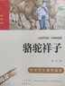 鋼鐵是怎樣煉成的 中小學(xué)課外閱讀 無(wú)障礙閱讀 八年級下冊閱讀  有習題  曬單實(shí)拍圖