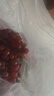 現(xiàn)摘云南新鮮克倫生無籽提紅提葡萄生鮮提子水果肉多多禮盒 克倫生無籽提3斤/箱(凈重) 曬單實拍圖