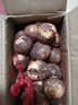 金山火蒜500g開(kāi)平特產(chǎn)獨子蒜煙熏獨頭新鮮張國?；馃h生蒜老廣味道 蒜老廣味道 曬單實(shí)拍圖