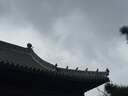 李寧（LI-NING）防曬口罩面罩男女士冰絲防紫外線立體遮陽口罩跑步騎車透氣護(hù)眼角 曬單實(shí)拍圖