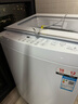 東芝（TOSHIBA）波輪洗衣機全自動(dòng) DB-12T06D 直驅變頻 12公斤大容量白色 不彎腰 除菌螨 以舊換新家電國家補貼20% 曬單實(shí)拍圖