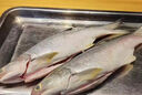 廣東特產(chǎn)馬友魚(yú)大條湛江新鮮海釣深海魚(yú)冰鮮冷凍魚(yú) 深海天然中號馬友魚(yú)（3斤5條） 曬單實(shí)拍圖