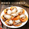 東上御品 山東 鮮剝冷凍帶黃大號扇貝肉30-50粒/袋 500g*4袋-源頭直發(fā) 曬單實(shí)拍圖