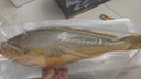 鴻順 冷凍野化黃花魚1200g/2條 中秋禮盒  海鮮 寧德大黃魚 生鮮魚類 曬單實(shí)拍圖