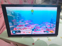 任天堂（Nintendo）【國內保稅倉】Switch2/1代 OLED日版/港版游戲機續航加強版ns體感掌機便攜家用主機 港版Switch2賽車(chē)同捆組合贈2年共享會(huì )員保稅倉 曬單實(shí)拍圖
