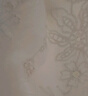 百圖betu女裝2025夏季新款襯衫花朵刺繡鏤空荷葉邊設計短袖女2506T25 杏色 S 曬單實(shí)拍圖