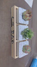 兩腿跑【送貨上門(mén)】教師節多肉植物帶盆桌面盆栽組合綠植花卉幼兒園盆栽 簡(jiǎn)約3盆(帶盆栽好) 曬單實(shí)拍圖