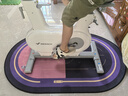 麥瑞克（MERACH）動(dòng)感單車家用智能自發(fā)電健身器材室內(nèi)自行車絕影ONE2代 MR-S10W4 曬單實(shí)拍圖