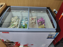 HLAOXUE冰柜商用大容量超市冷凍冰箱展示柜臥式保鮮雪糕柜冰糕柜冰棍柜好雪冰柜 1.0米長(zhǎng)雪糕柜銅管【帶鎖+帶價(jià)格條】 曬單實(shí)拍圖