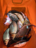小早川品牌釣魚(yú)竿純進(jìn)口碳素綜合魚(yú)竿超輕硬臺釣竿手桿十大7.2m 曬單實(shí)拍圖