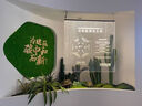 格度仿真仙人掌造景大型植物盆栽仿真綠植室內景觀(guān)植物裝飾樓梯下造景 定制設計定金 曬單實(shí)拍圖