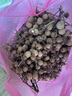 雀巢超啟能恩1段（0-12個(gè)月）嬰兒配方奶粉800g 新包裝（1桶裝） 曬單實(shí)拍圖