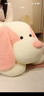 大耳朵趴趴狗公仔抱枕男女孩睡覺(jué)可愛(ài)小狗玩偶狗狗毛絨玩具布娃娃 【超軟大耳朵趴狗】櫻花粉色 【中號】100cm 曬單實(shí)拍圖