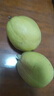 京鮮生 新疆庫爾勒香梨 凈重5斤 單果100g-120g 新鮮水果 源頭直發(fā) 曬單實(shí)拍圖