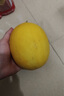 甘肅民勤沙漠蜜瓜新鮮采摘產地發(fā)貨 小果（單果≥500g）2斤凈重800g 曬單實拍圖