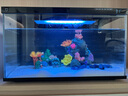 畫法幾何適配米魚缸造景套餐裝飾擺件沉木仿真假山珊瑚小型生態(tài)家魚缸造景 馬上發(fā)財造景套裝 曬單實拍圖