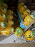 金豆芽?jì)和疸y花柚子汁155ml*16瓶夏天孩子飲料寶寶零食果汁西柚汁 曬單實(shí)拍圖