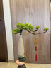 赟婭石來(lái)運(yùn)轉(zhuǎn)花瓶中式壁龕擺件客廳玄關(guān)電視酒柜裝飾喬遷之喜搬家禮物 迎客松+時(shí)來(lái)運(yùn)轉(zhuǎn)花瓶擺件 曬單實(shí)拍圖