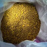 偉嘉（whiskas）成貓貓糧10kg海洋魚加菲英短貓咪夾心糧全價糧 曬單實拍圖