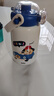 名創(chuàng)優(yōu)品（MINISO）白日夢(mèng)想家保溫杯 藍(lán)色 曬單實(shí)拍圖
