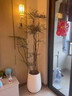 愛(ài)優(yōu)尚精品南天竹室內辦公室大型綠植盆栽客廳造景真樹(shù)四季常青源頭直發(fā) 曬單實(shí)拍圖