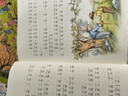 金波四季童話(huà)：花瓣兒魚(yú)、神奇的小銀蛇等 （注音美繪版 套裝共4冊） 課外閱讀 閱讀 課外書(shū)暑假作業(yè) 一升二暑假銜接 小升初暑假銜接 曬單實(shí)拍圖