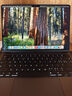 Apple/蘋果AI筆記本/2024MacBookPro14英寸M4(10+10核) 16G 512G深空黑色筆記本電腦 MW2U3CH/A 曬單實(shí)拍圖