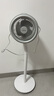 美的（Midea）空氣循環(huán)扇電風(fēng)扇落地扇立式輕音節能家用風(fēng)扇低噪大風(fēng)量轉頁(yè)扇臥室宿舍搖頭循環(huán)輕羽扇國家補貼 【整屋循環(huán) 四季可用】FGA24TS 曬單實(shí)拍圖
