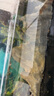 當貝智能生態(tài)魚(yú)缸1Ultra 一體缸自循環(huán)雙過(guò)濾AI托養懶人家用桌面魚(yú)缸 曬單實(shí)拍圖