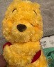 迪士尼（Disney）軟綿抱抱系列維尼熊妙妙貓毛絨玩偶掛件鑰匙扣生日送女生情侶禮物 小熊維尼毛絨掛件 曬單實(shí)拍圖