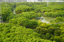 索尼（SONY）  Alpha 6700 APS-C半畫(huà)幅微單相機AI智能芯片 強悍對焦A6700/a6700L /6700m A6700M【88+128G+肩帶+屏+D11】 官方標配 曬單實(shí)拍圖