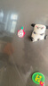3D卡通貼片手機殼洞洞鞋diy貼兒童創(chuàng  )意高顏值筆筒水杯裝飾配件 20個(gè)裝【隨機不重復】 2-2.5cm左右【常規款】 曬單實(shí)拍圖