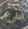 大連裙帶菜 鮮海帶非干貨海帶嫩苗兒童海菜海白菜海藻菜涼拌 裙帶菜嫩葉500g 曬單實(shí)拍圖
