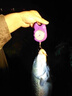 黑坑鯉魚(yú)小藥回鍋魚(yú)滑口魚(yú)水肥臭底裸鯉誘魚(yú)劑餌料果酸添加劑釣魚(yú) 黑坑鯉250ml 曬單實(shí)拍圖