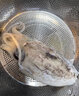 鮮優(yōu)虹舟山原汁墨魚(yú)仔新鮮活冷凍生鮮目魚(yú)烏賊章魚(yú)海兔墨斗魚(yú)蛋海鮮水產(chǎn) 4斤(凈重)  （經(jīng)濟又實(shí)惠） 原汁墨魚(yú)（2-3只/斤） 曬單實(shí)拍圖