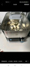 美的（Midea）蒸魔方多功能家用電蒸鍋 燉蒸涮煮一體3層 大容量 不銹鋼可拆洗 自動(dòng)斷電2025新品 ZGS352302 曬單實(shí)拍圖