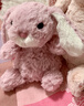 Jellycat粉色郁金香甜美小兔公仔動(dòng)物毛絨玩偶送禮娃娃生日新婚禮物 粉色 One Size 曬單實(shí)拍圖