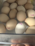 綠田逐無(wú)抗生素可生食雞蛋富硒雞蛋30枚 3斤谷物鮮雞蛋源頭直發(fā) 曬單實(shí)拍圖