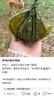 賽羽（SCOYCO）護膝護具摩托車CE-2級認證四件套防摔耐磨機車賽車星宇K50H50-L碼 曬單實拍圖
