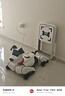 WEILAN BabyAlpha A2 Plus 256G 星光白 蔚藍阿爾法機器狗  人工智能機器狗  AI機器狗 七夕禮品高端禮物 曬單實(shí)拍圖